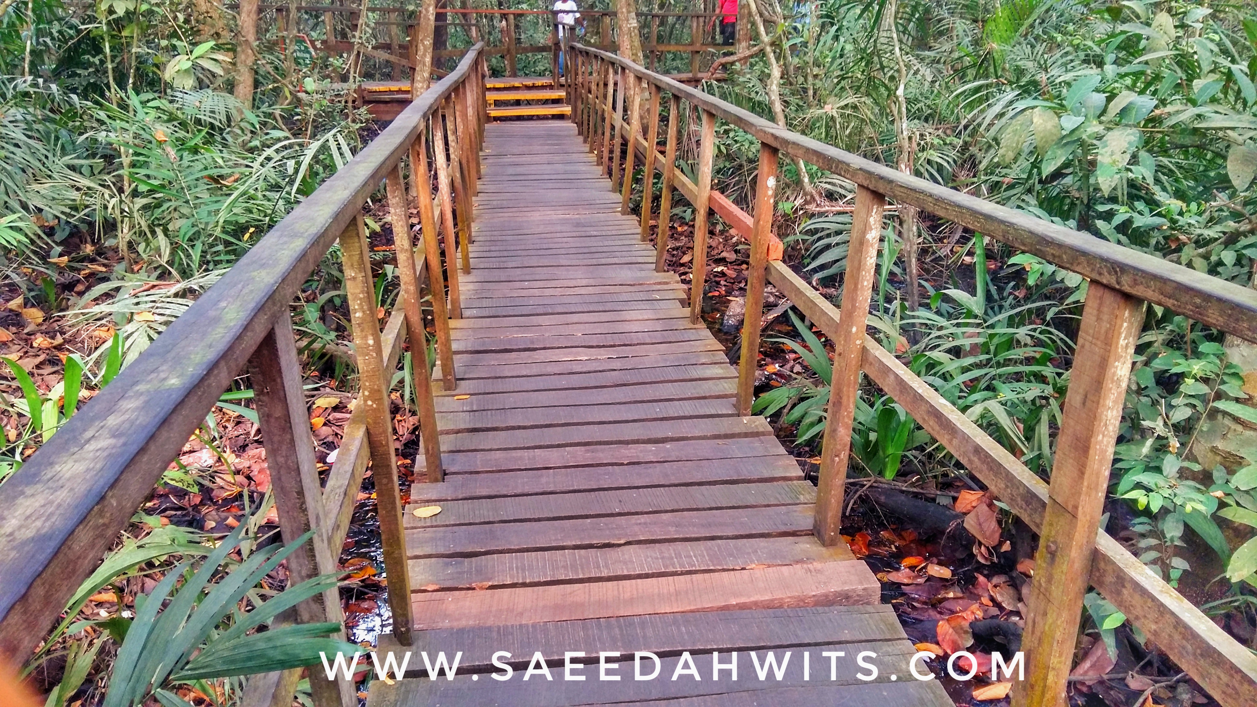 Lekki Conservation Centre