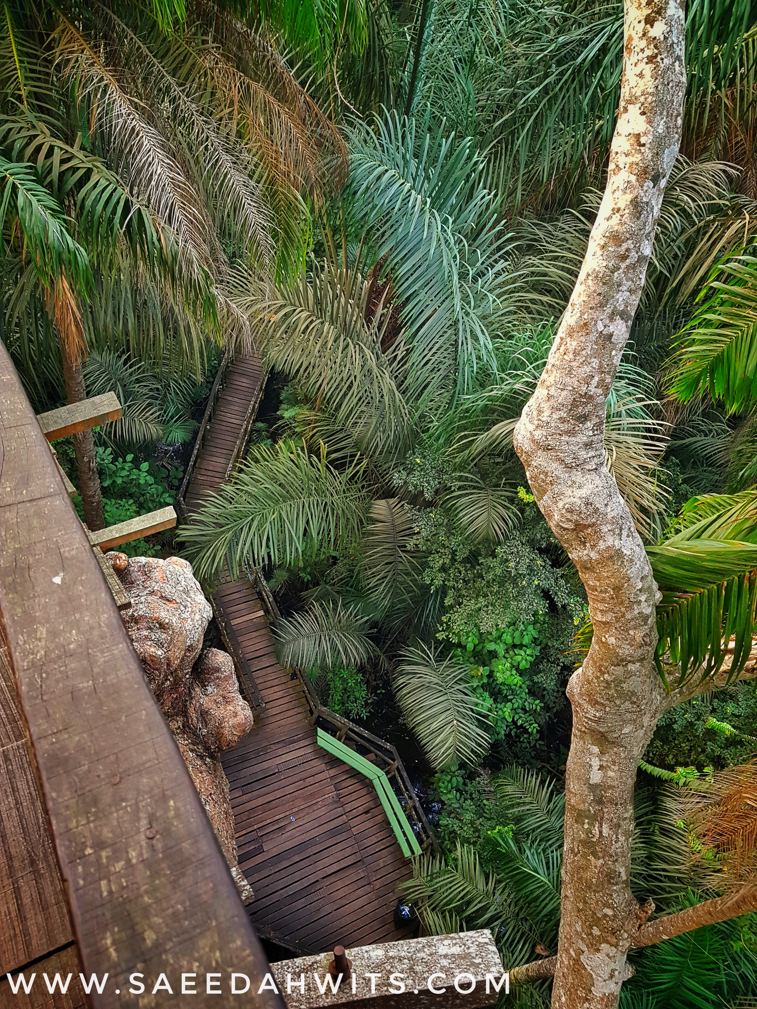 Lekki Conservation Centre